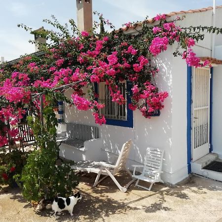 Hesters Finca Torreblanca Buitenkant foto