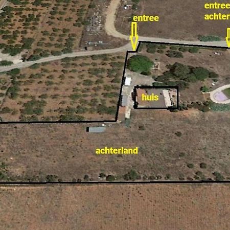 Hesters Finca Torreblanca Buitenkant foto