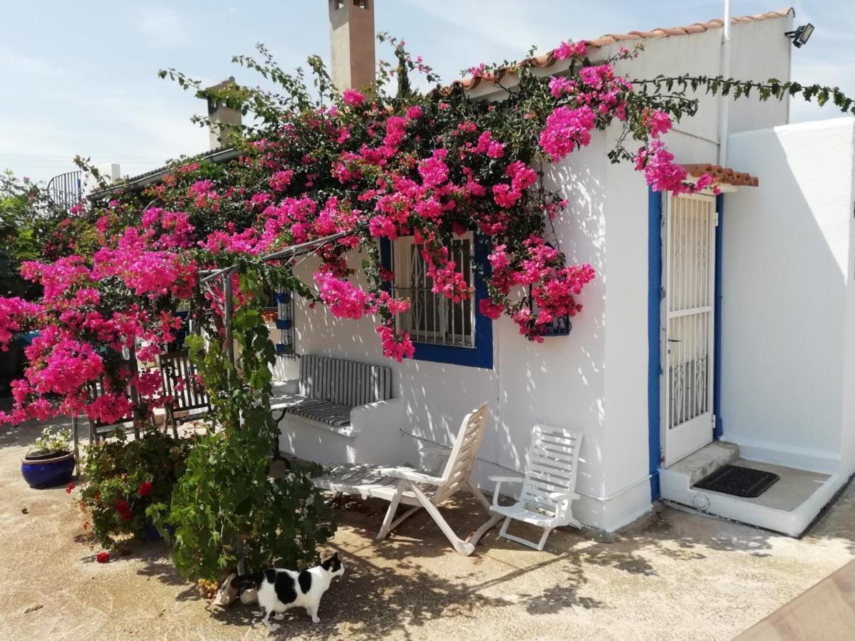 Hesters Finca Torreblanca Buitenkant foto