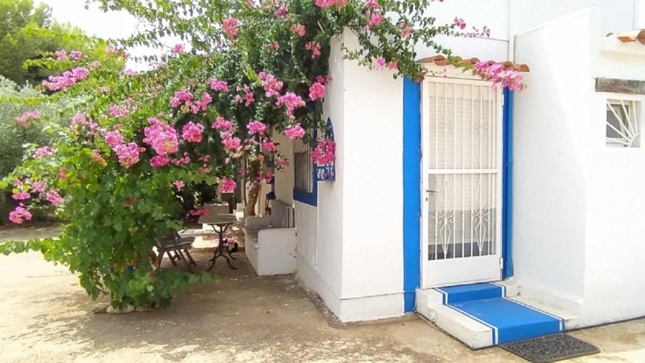 Hesters Finca Torreblanca Buitenkant foto